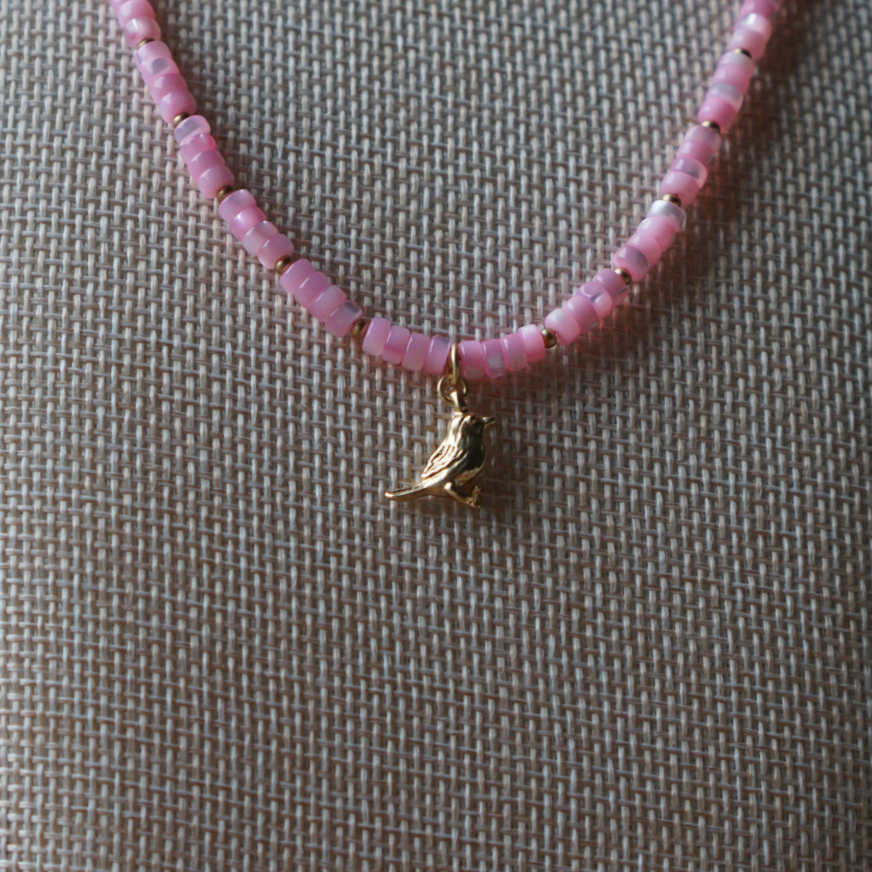 Pajaro Rose
